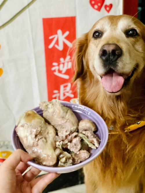 狗会吃狗吗,狗能吃狗肉吗会死吗