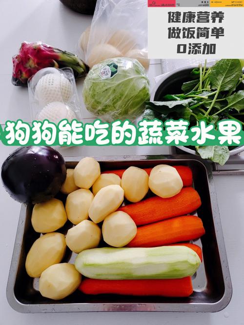 狗可以吃什么蔬菜水果,狗可以吃什么蔬菜类的