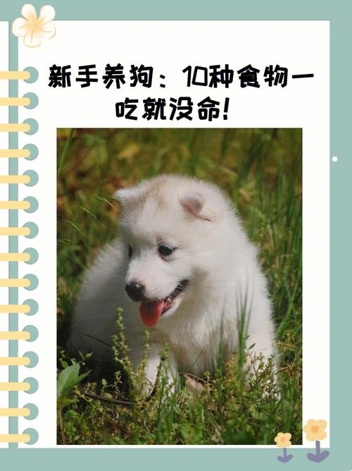狗吃韭菜有事吗,狗吃韭菜能自己恢复吗