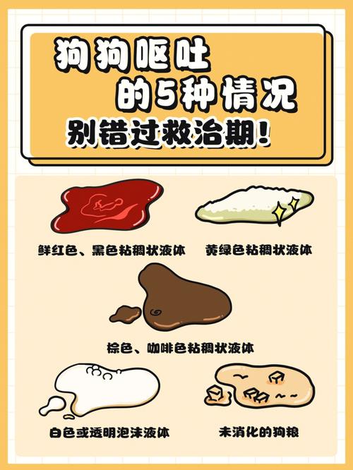 狗吐了是什么原因,狗吐了之后多久可以进食