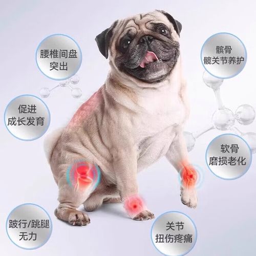 狗狗髌骨脱位吃什么药保守治疗好,狗狗髌骨脱位能自愈吗
