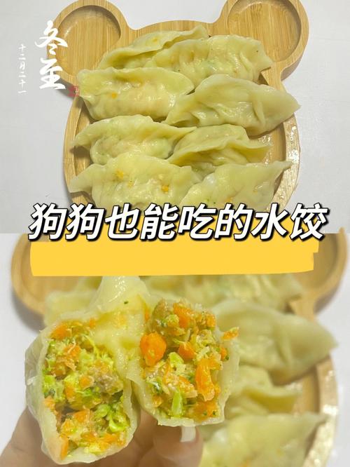 狗能吃韭菜吗煮熟的,狗能吃韭菜馅儿的饺子吗
