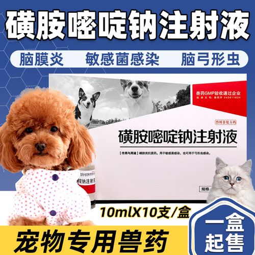 狗脑炎是怎么引起的,狗脑炎用什么药治疗效果好