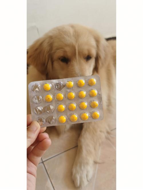 狗药死了能吃肉吗,狗药大全
