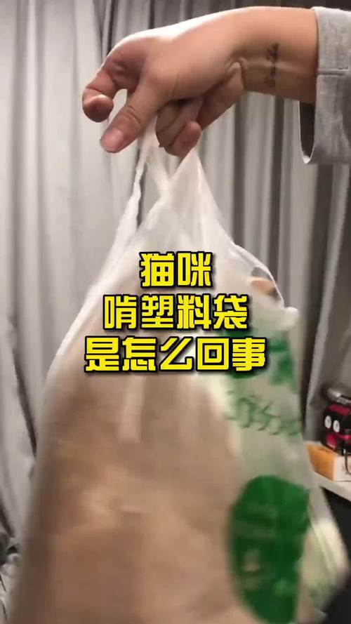 猫为什么舔塑料袋的毛,猫咪啃塑料袋需要补充什么