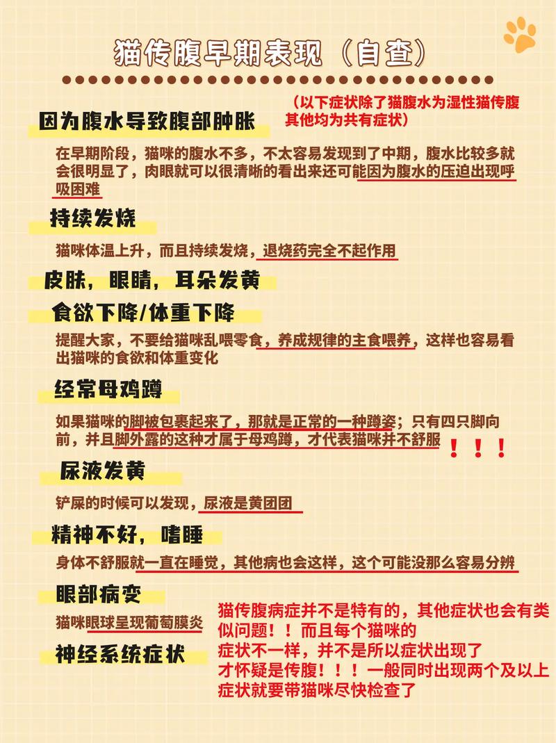 猫传腹是怎么引起的,猫传腹是怎么得的呢