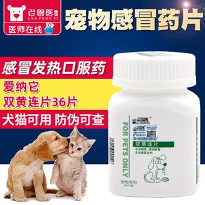 猫发烧吃什么药退烧最好,猫发烧吃什么药退烧
