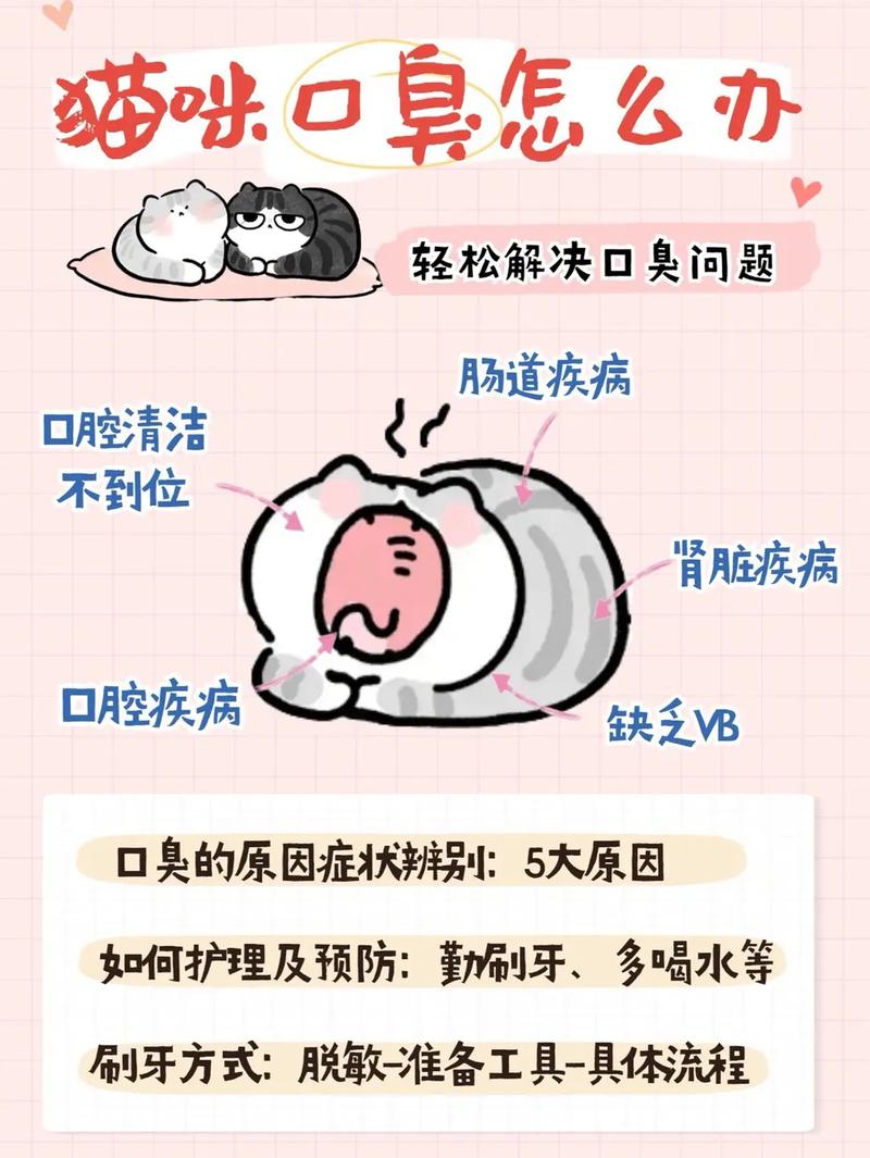 猫口臭正常吗,猫口臭什么原因