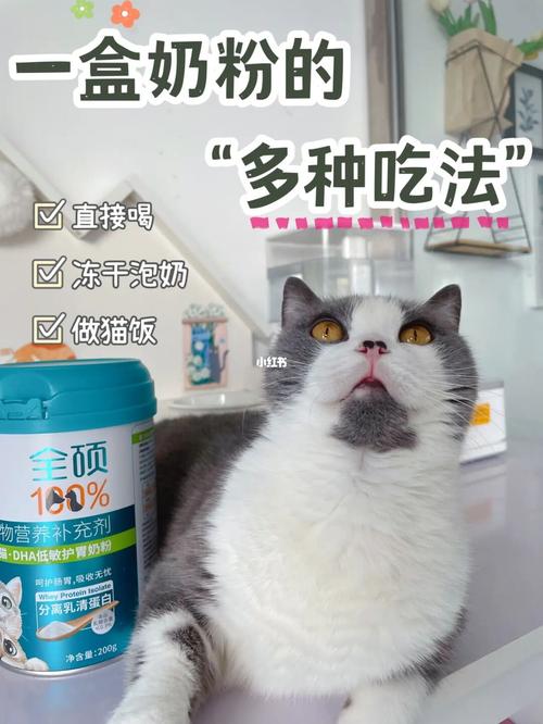 猫可以喝牛奶吗正确答案,可以给小猫喝牛奶吗