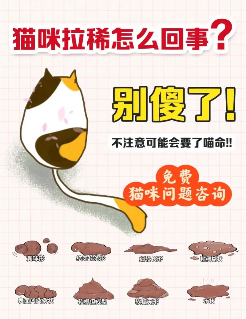 猫吃狗粮会拉稀吗,猫吃狗粮会变瞎是真的吗