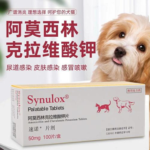猫吃阿莫西林剂量消炎多久,猫吃阿莫西林剂量多了会怎么样