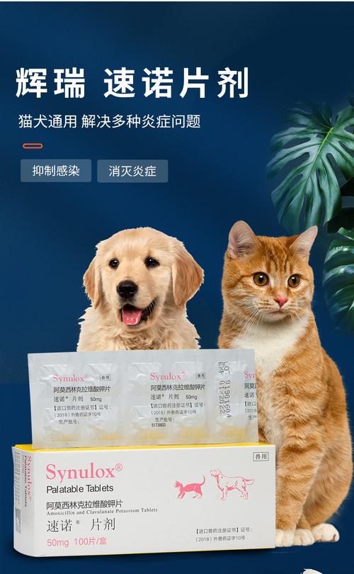 猫咪感冒症状吃什么药,猫咪感冒症状怎么缓解