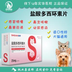 猫咪感冒症状吃什么药,猫咪感冒症状怎么缓解