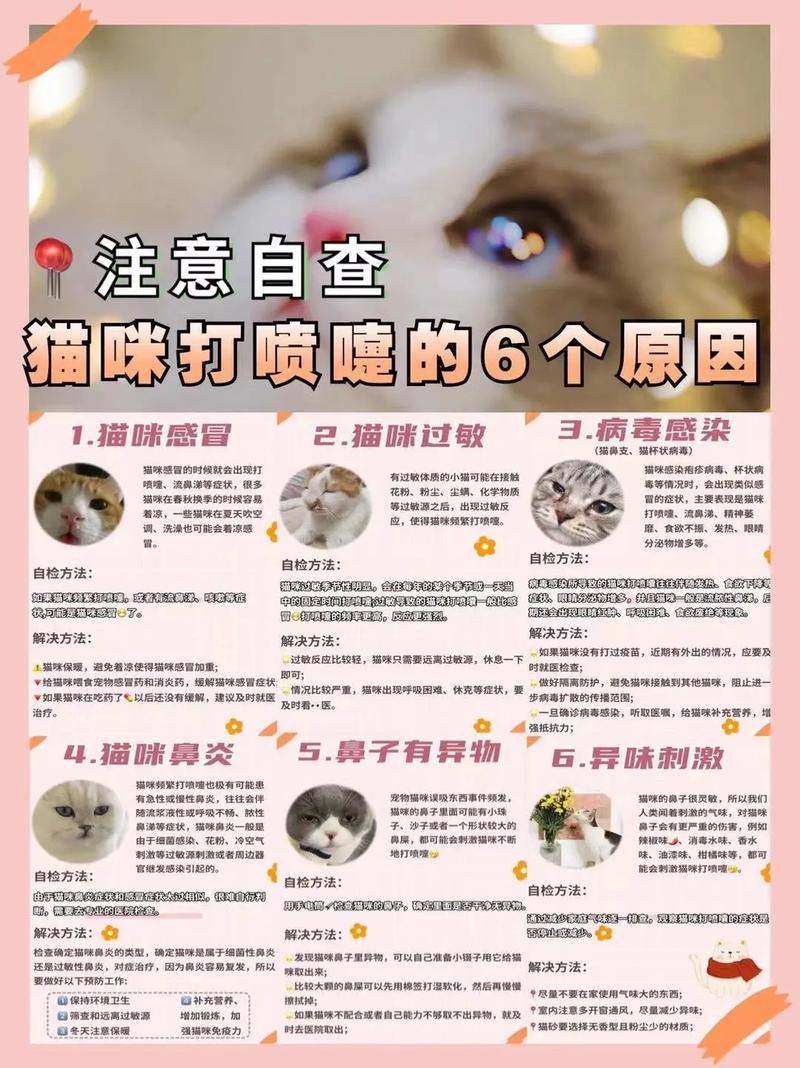 猫咪打喷嚏怎么办,虎斑猫打喷嚏怎么办