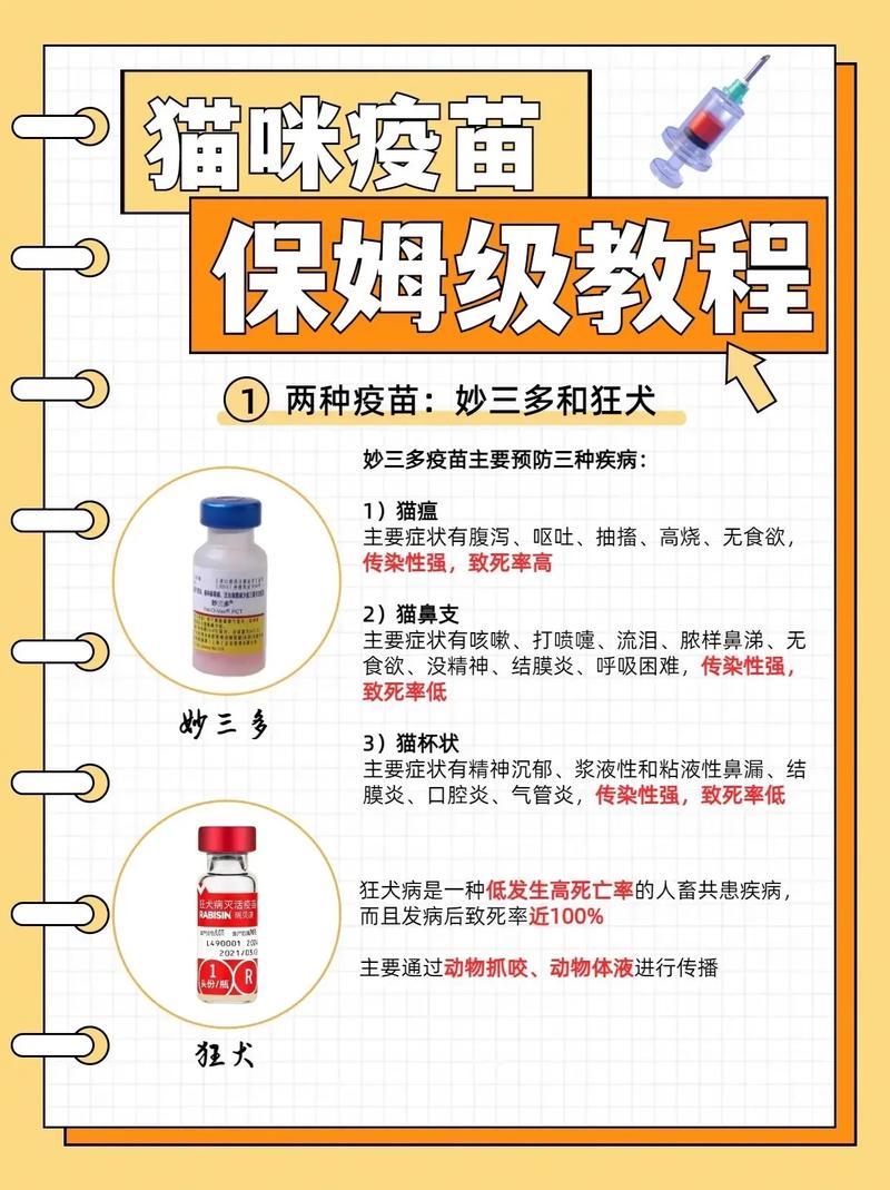 猫咪打针要打几次多少钱,猫咪打针的正确方法