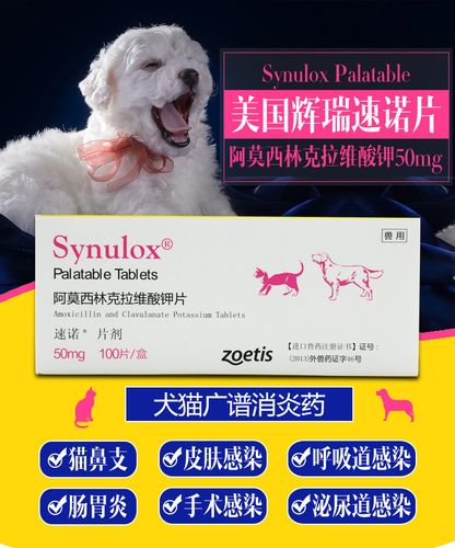 猫咪消炎药哪个好用,猫咪消炎药推荐