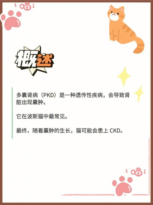 猫多囊肾能活多久,猫多囊肾是什么病