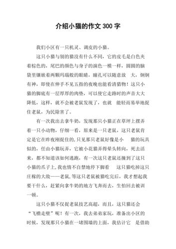 猫的外形特点简单介绍,描写猫的外形