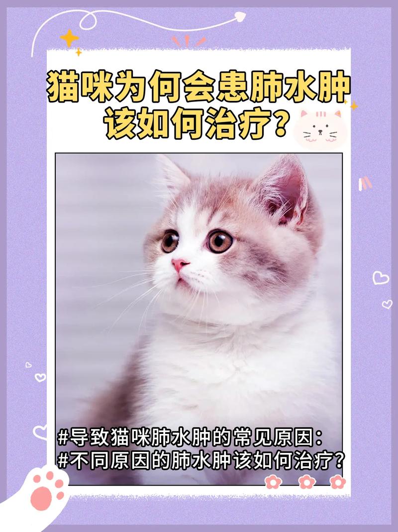 猫肺水肿能自愈吗,猫肺水肿的症状有哪些