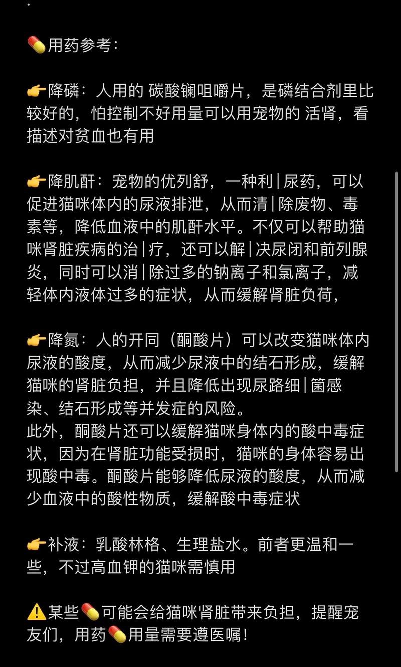 猫肾衰最好的恢复方法,猫肾衰竭能不能治好