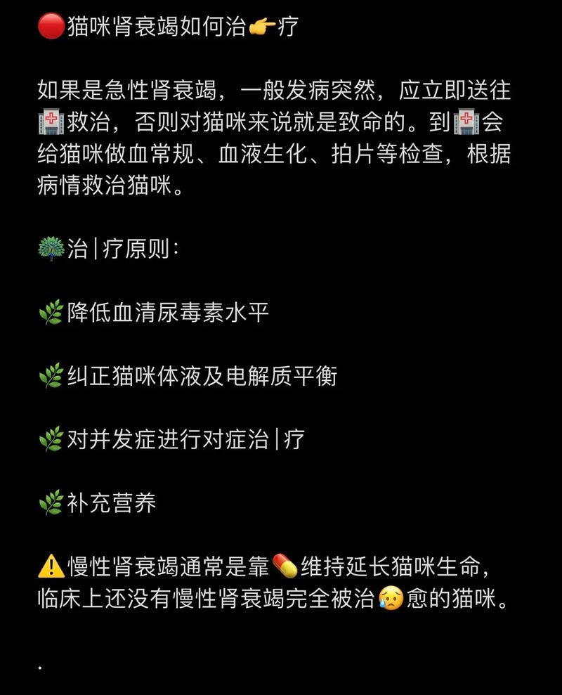 猫肾衰最好的恢复方法,猫肾衰竭能不能治好