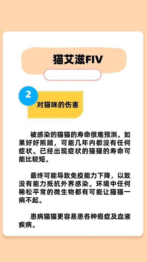 猫艾滋病症状,猫艾滋病能治好吗