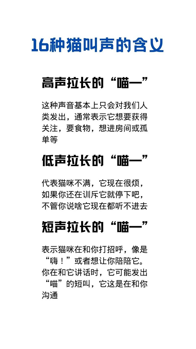 猫语大全100条声音,猫咪求偶时的叫声