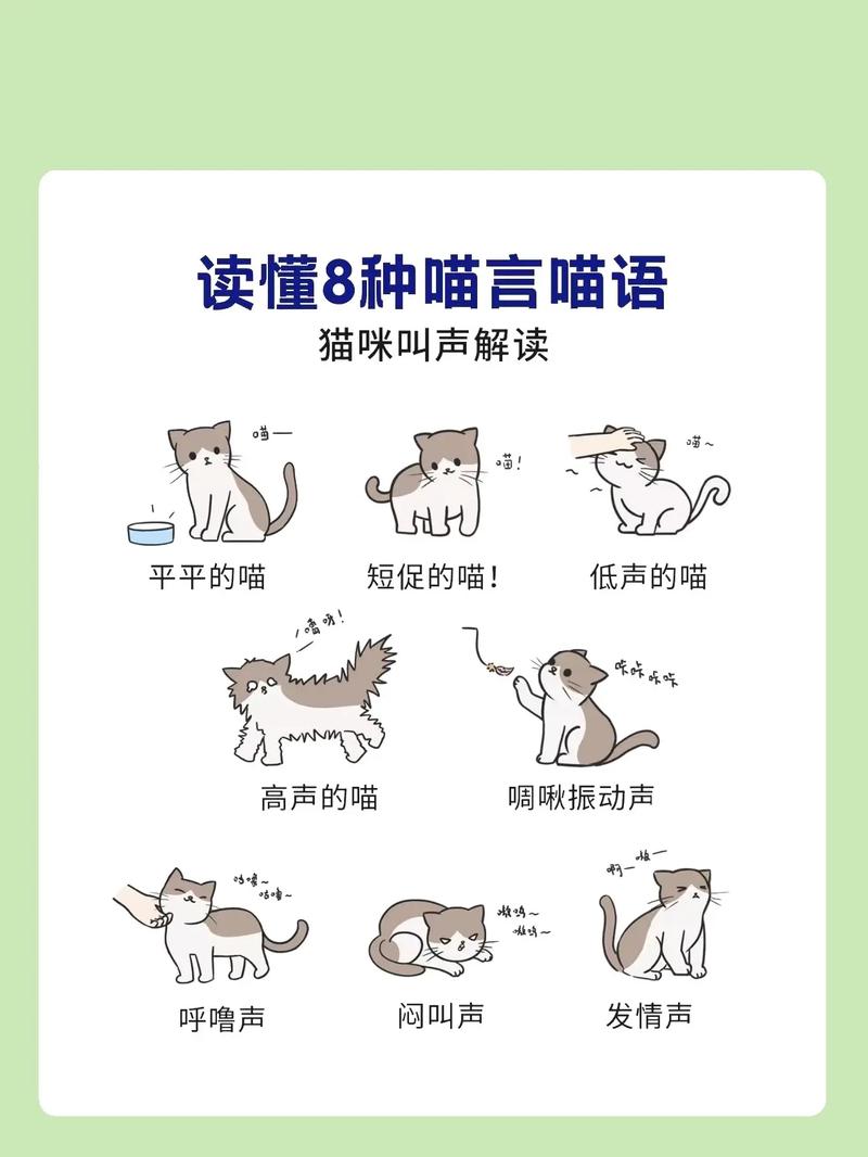 猫语大全100条声音,猫咪求偶时的叫声