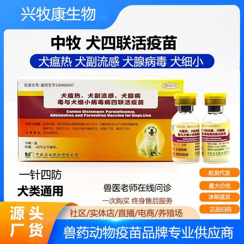 细小潜伏期用什么药可以让犬不发病,犬瘟细小潜伏期