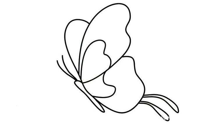 蝴蝶爱吃什么食物,蝴蝶爱吃什么简笔画