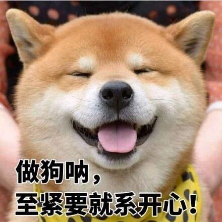 逗狗开心的句子说说心情,逗狗嘬嘬的表情包