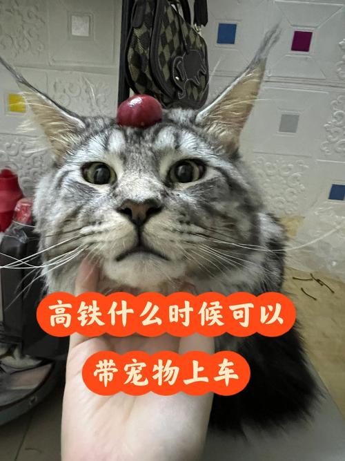 高铁可以带宠物鸟吗,高铁可以带宠物鱼吗活的