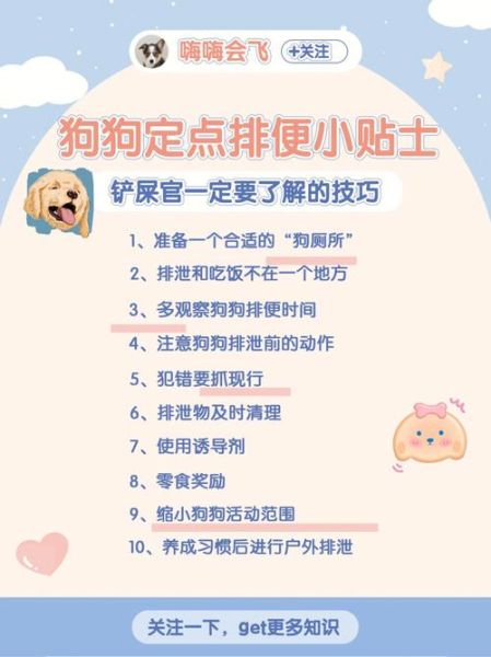 怎样教育拉布拉多不随便大小便(怎样教拉布拉多不乱吃东西)