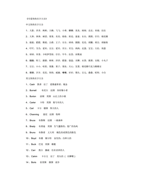 拉布拉多名字大全 洋气点的(拉布拉多名字大全洋气女)