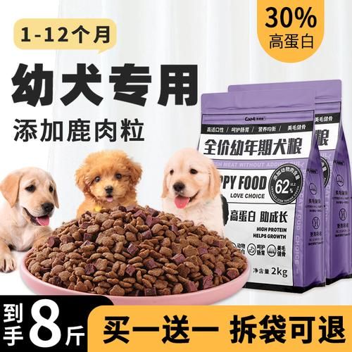 拉布拉多怎么喂狗粮(两个月的拉布拉多怎么喂养)