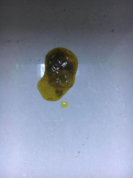 拉布拉多的便便是稀的(拉布拉多大便有点稀)