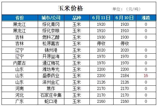 今日粮价小麦价格(今日粮价小麦玉米最新涨价信息)