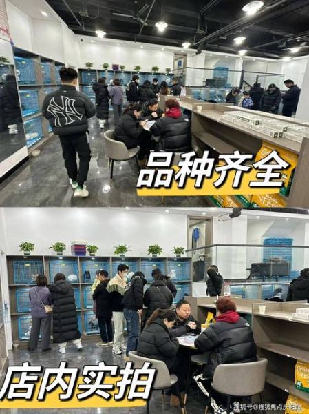 昆山宠物交易市场(宠物网站交易市场)
