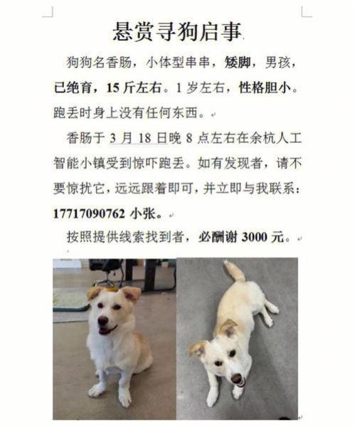 找狗很灵的方法狗已经丢了三天,找狗很灵的方法玄学