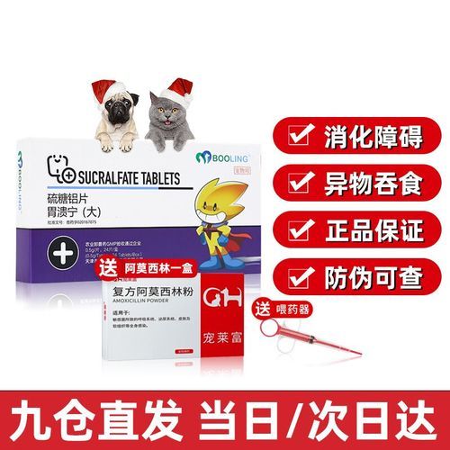 狗吐血是什么原因,狗吐血吃什么药