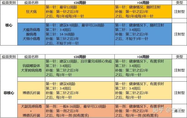狗多久打一次疫苗多钱,狗多久打一次疫苗比较好