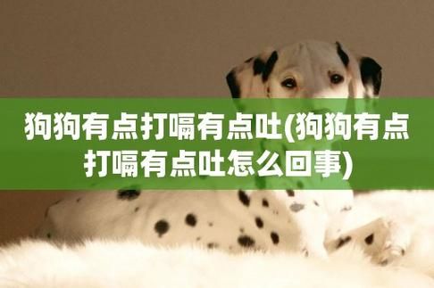 狗狗打嗝怎么回事,狗狗打嗝是因为什么