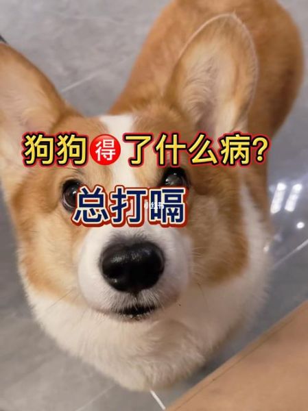 狗狗打嗝怎么回事,狗狗打嗝是因为什么
