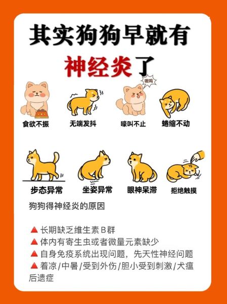 狗神经炎会死吗,狗神经炎最佳恢复方法