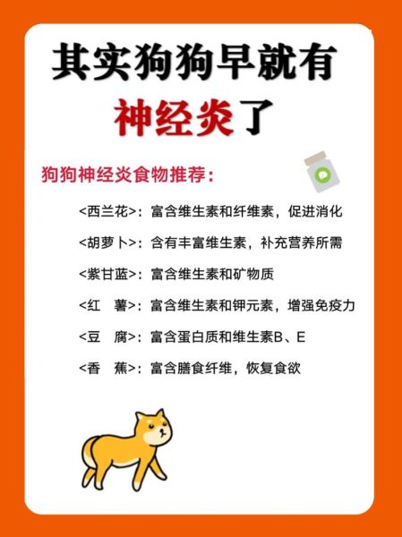 狗神经炎会死吗,狗神经炎最佳恢复方法