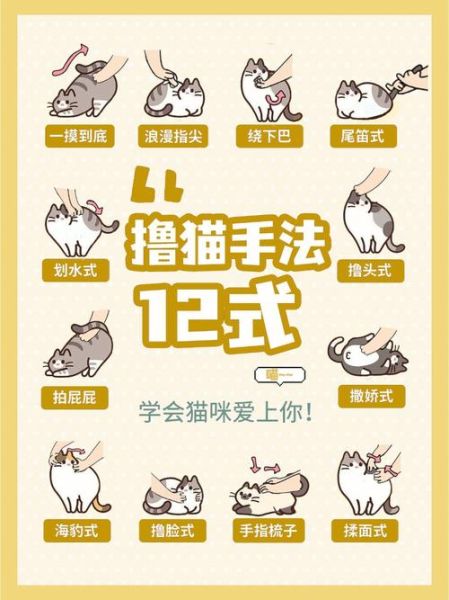 吸猫有什么好处(吸猫的地方叫什么名字)