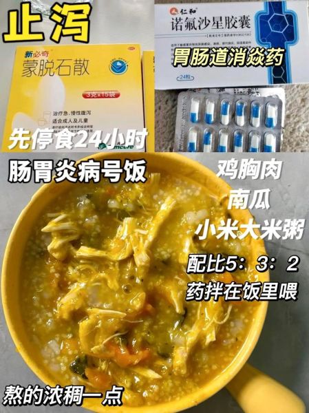 狗狗拉稀在家自救方法(金毛拉稀吃什么药好使)
