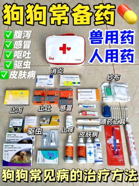 狗狗拉稀在家自救方法(金毛拉稀吃什么药好使)
