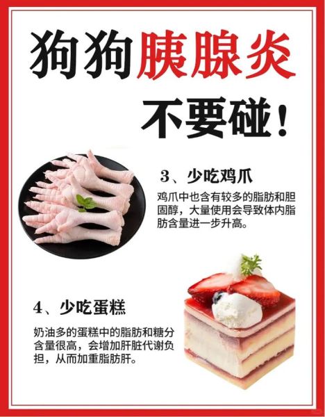 狗狗胰腺炎多久才能完全恢复(狗狗胰腺炎在家自救方法)