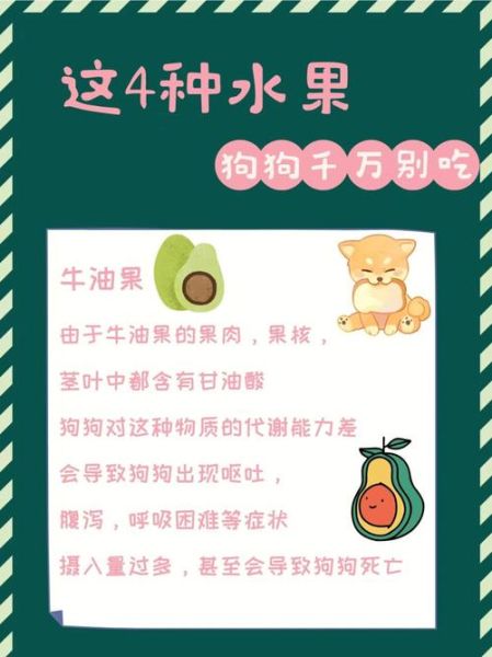 狗能不能吃山竹果(狗不能吃山竹吗)